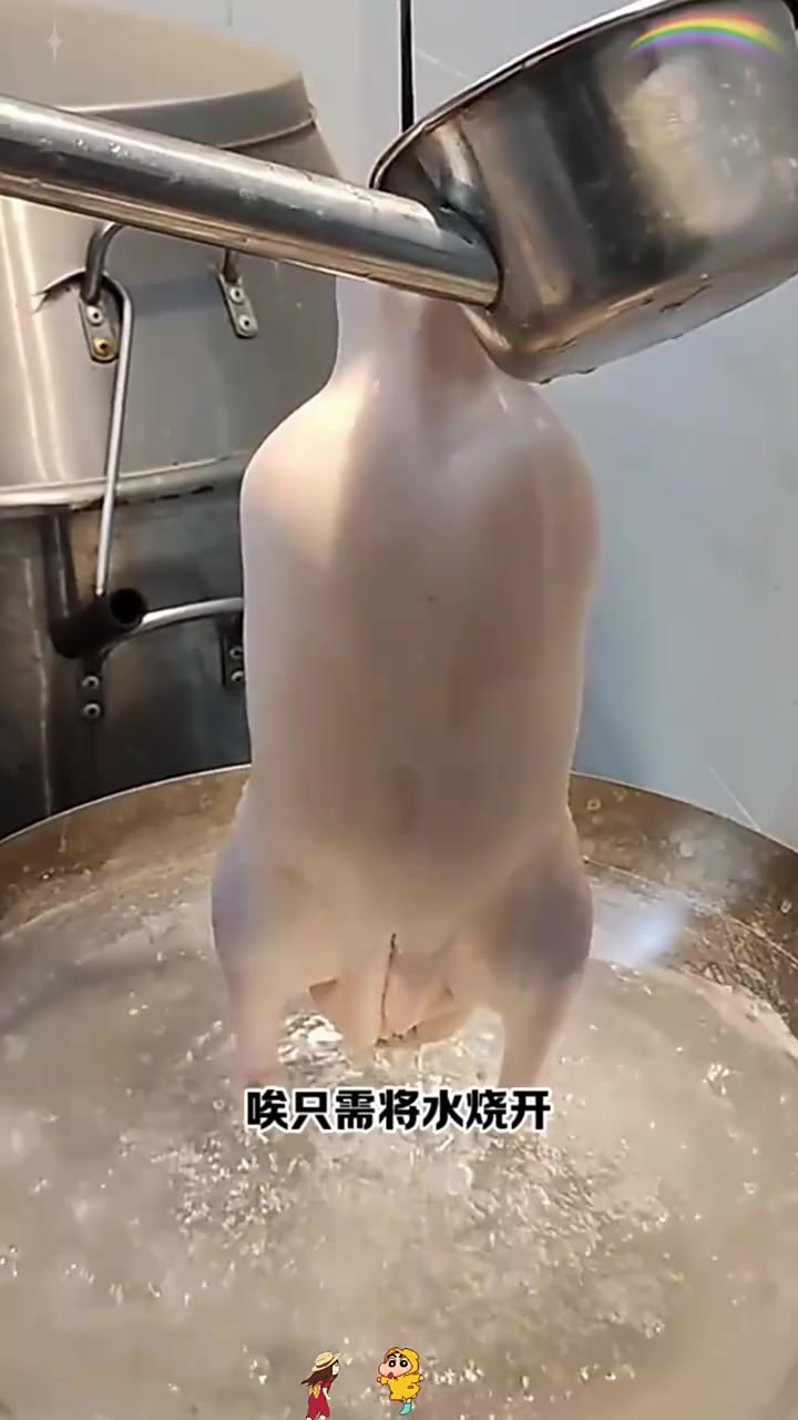 教你轻松让瘦鸭子变肥的小技巧,牢记烹饪时的注意事项!