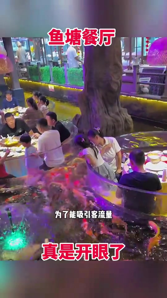 新奇餐厅:水中座椅与鱼共餐的趣味体验!