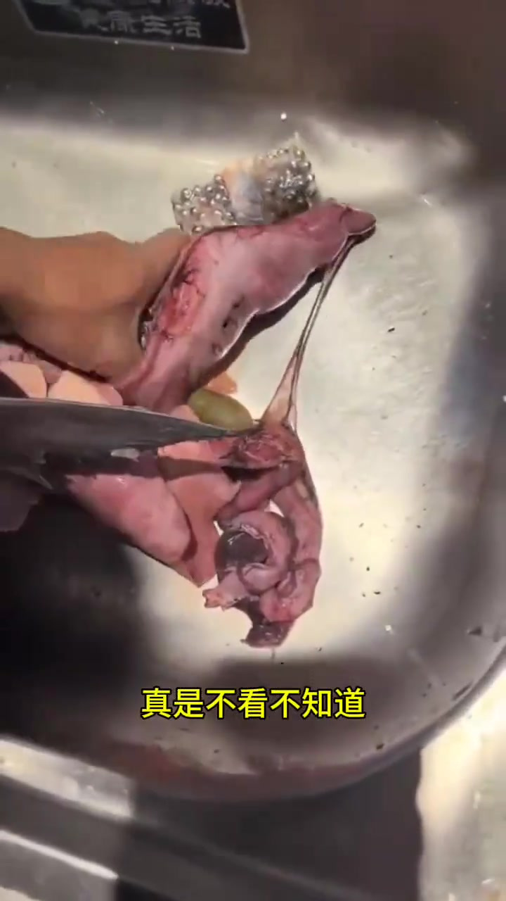 菜市场惊现鱼头藏钢珠,商家为利不择手段令人咋舌!