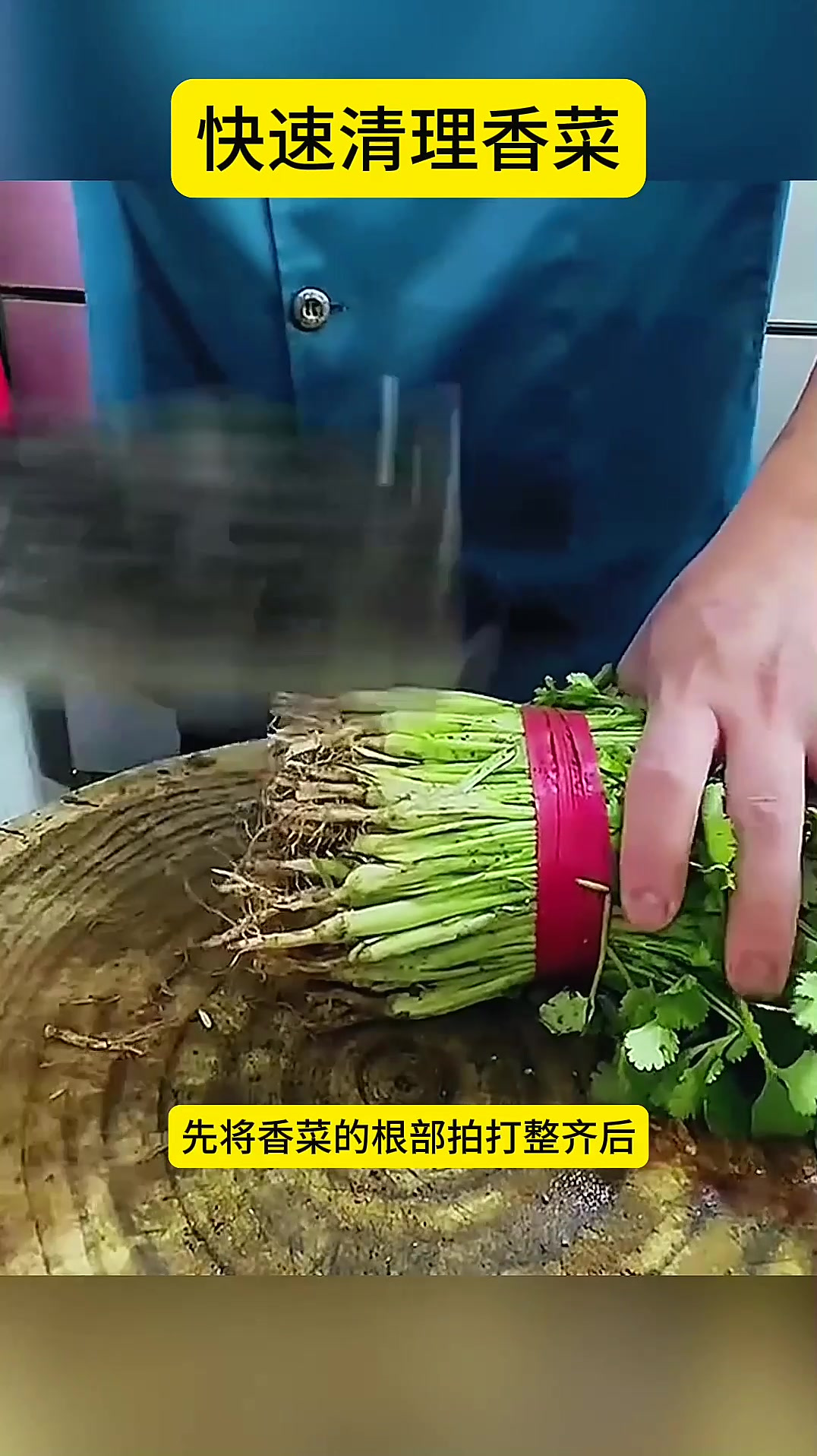 快速清理香菜,特别的轻松