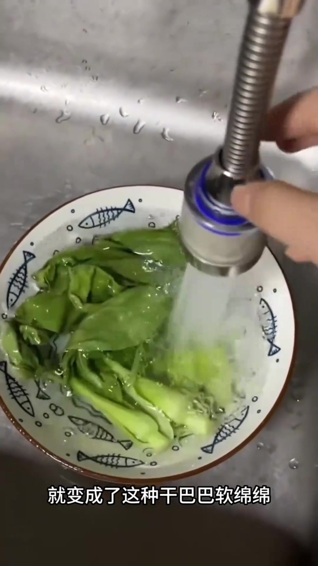 浸泡青菜一夜,恢复鲜嫩如新鲜购买!