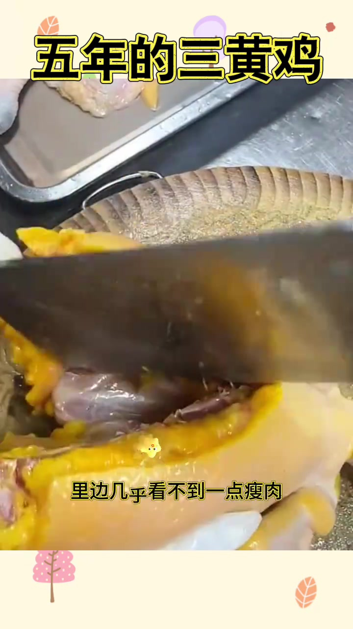 五年三黄鸡:满满黄油的美味,越炖越香透心!