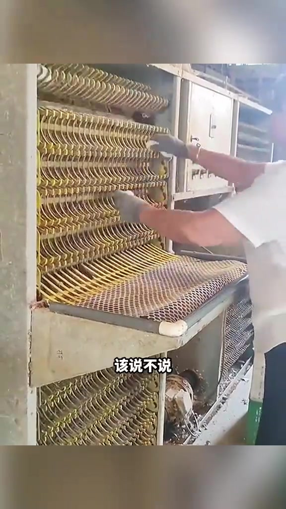 分拣大师的快速装箱技巧,磕破鸡蛋能否带回家?