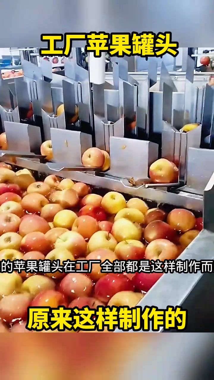 揭秘苹果罐头制作过程:新鲜苹果如何变身美味罐头?