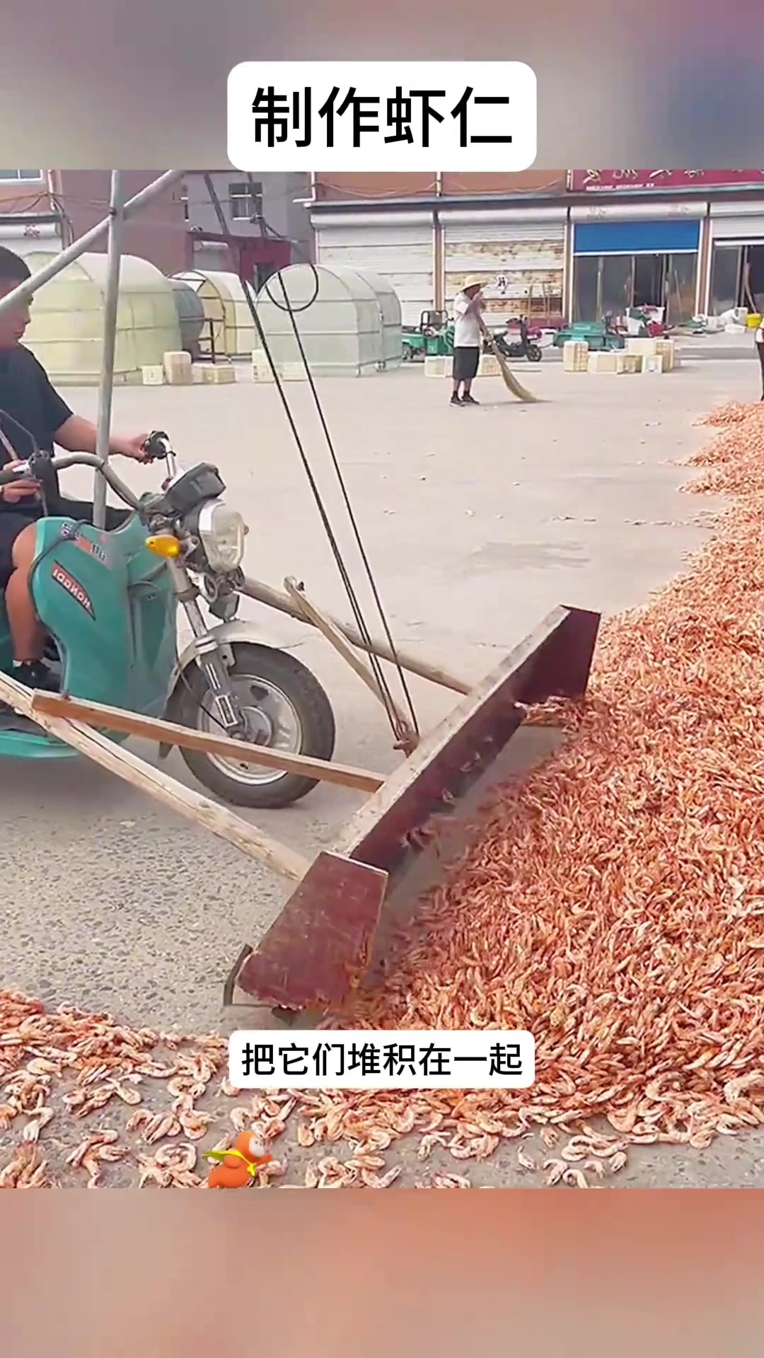 河虾晒干与筛选的独特工艺,带来美味虾仁的背后故事