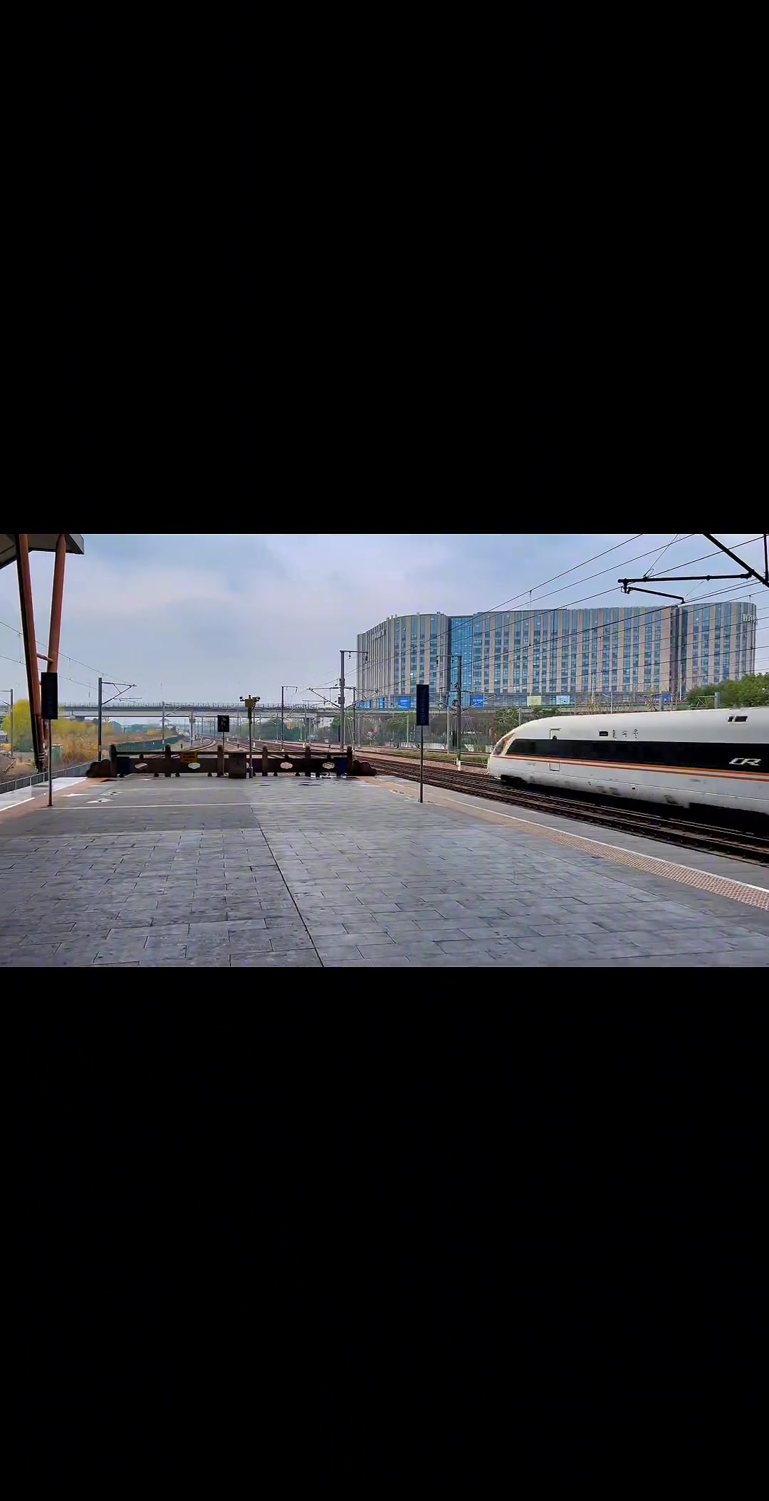 带鱼王:“你们都是弟弟”