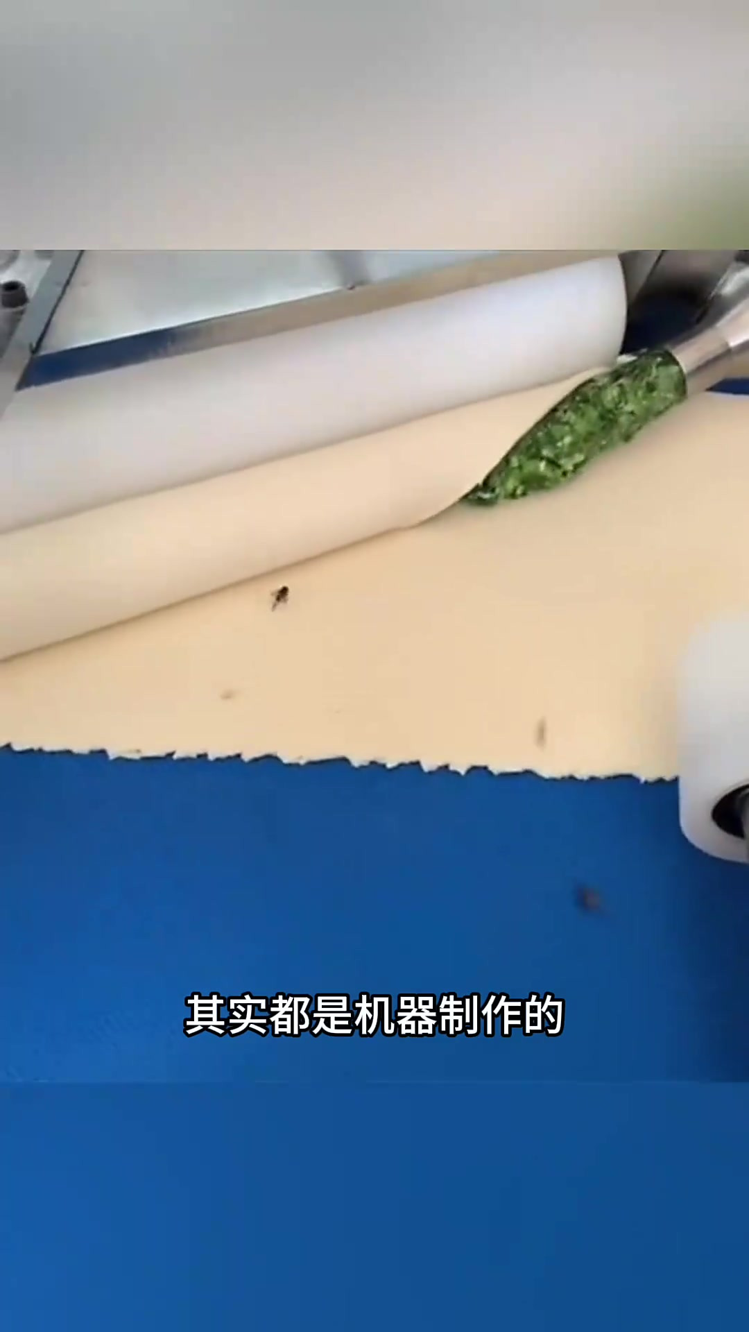 揭秘包子包装:机器生产与人工辅助的高效结合