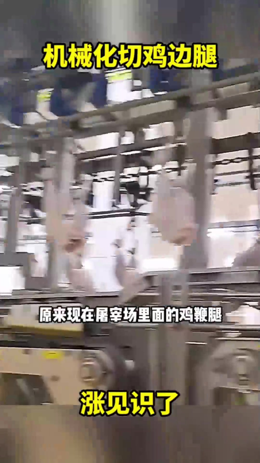 机械化切鸡边腿,涨见识了