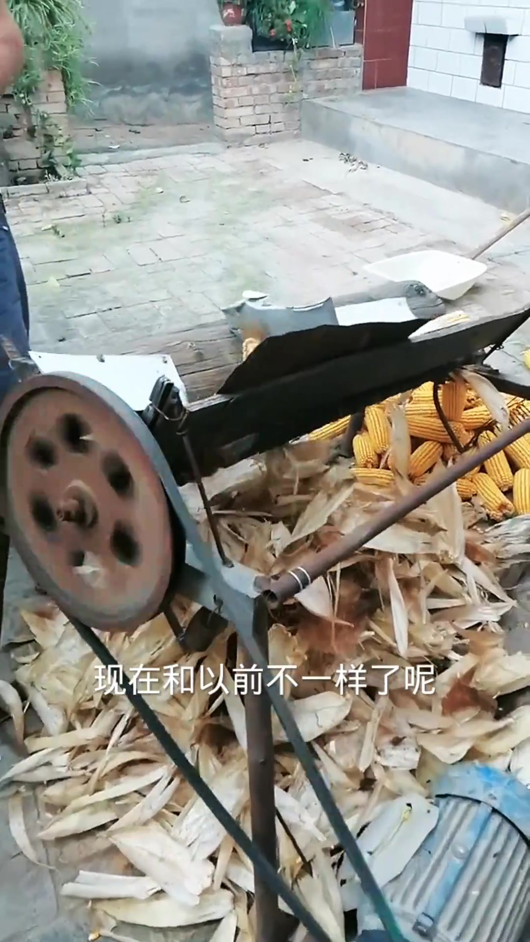 用机器剥玉米皮子