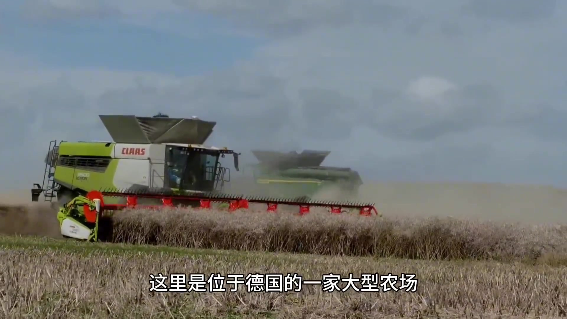 来看看德国是如何收割油菜籽的