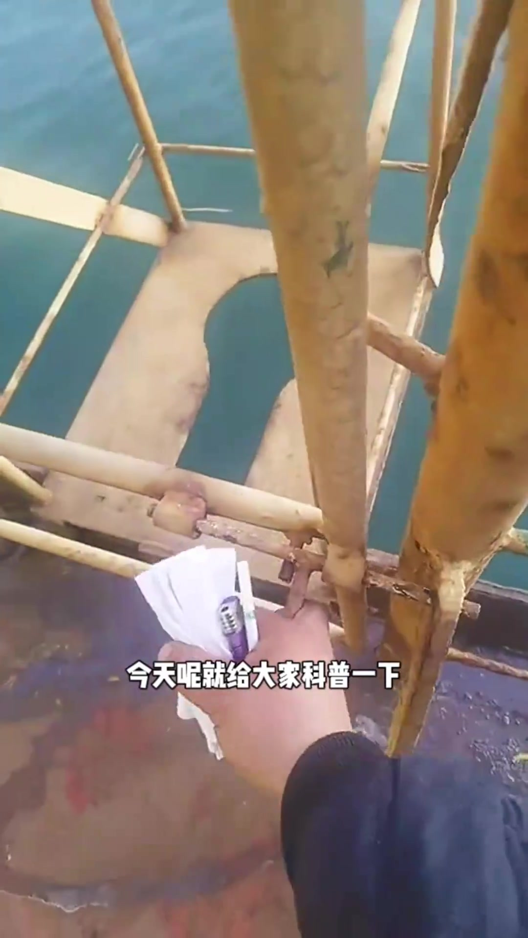 船上上厕所的秘密与尖嘴鱼的挑战分享
