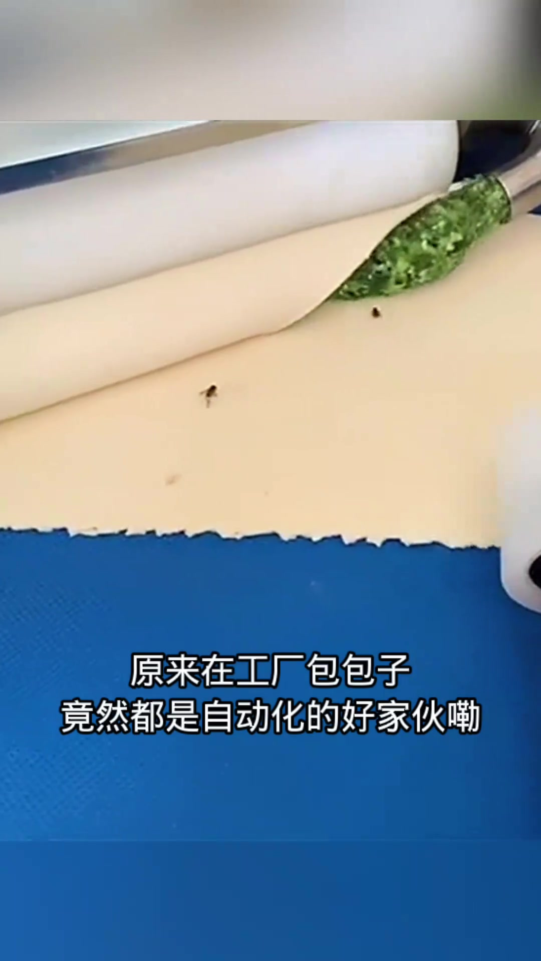 自动化包子工厂揭秘:韭菜鸡蛋馅的真相大揭晓