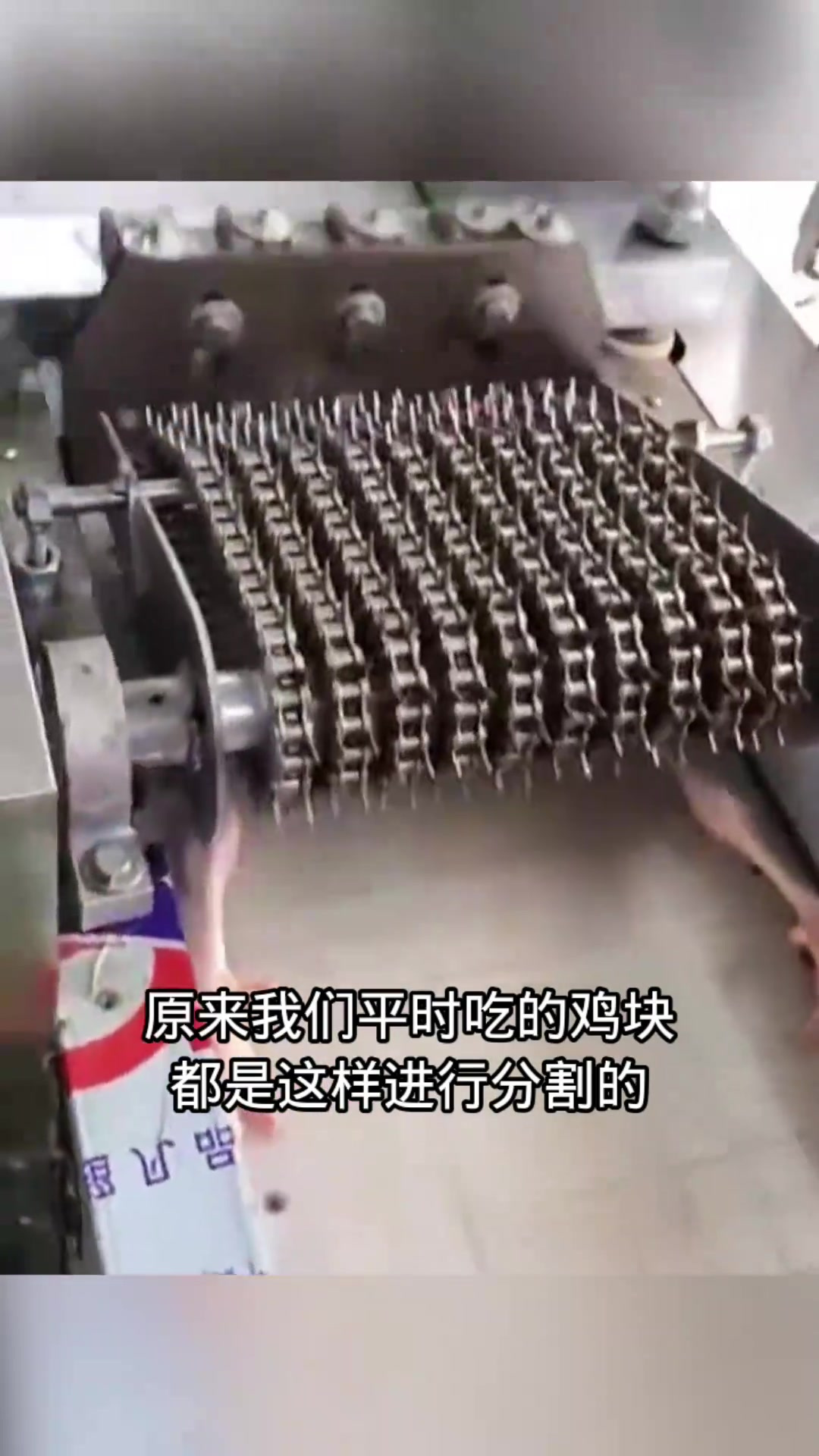 揭秘鸡块分割真相:机器剁碎过程及味道担忧解析