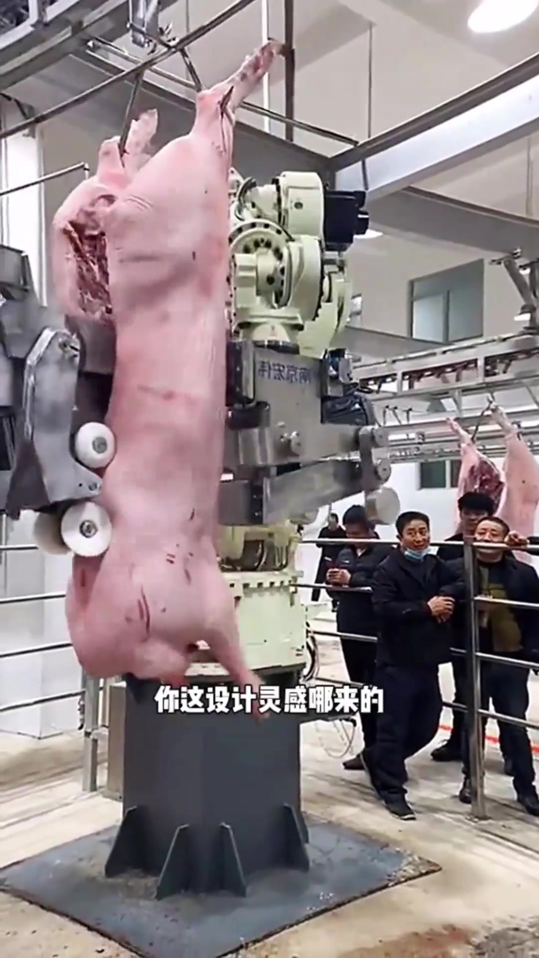全自动切肉机,涨见识了