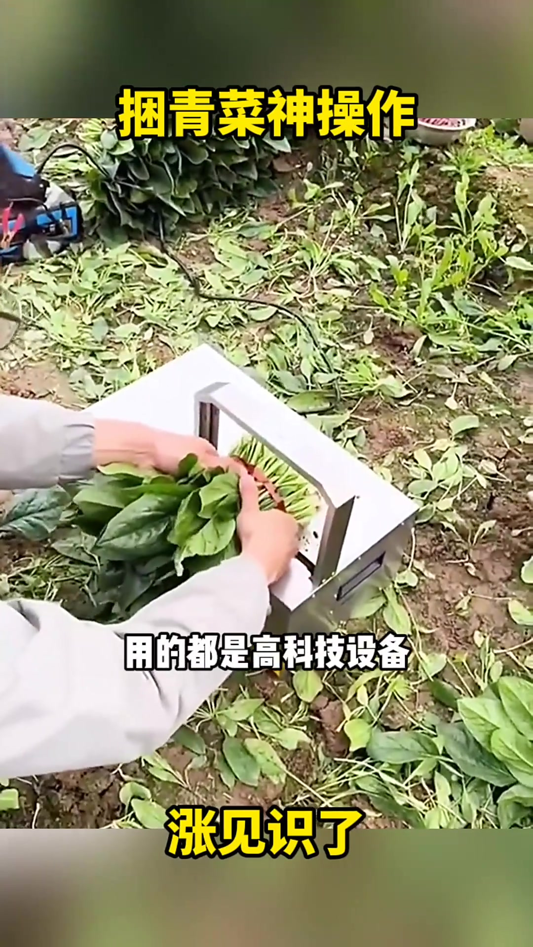 高科技捆菜设备:提升效率,改变传统农作方式!