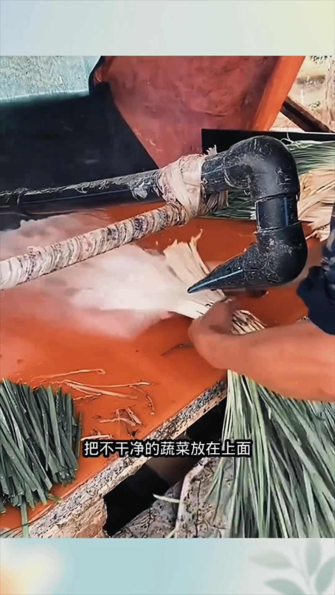 高压水枪清洗蔬菜