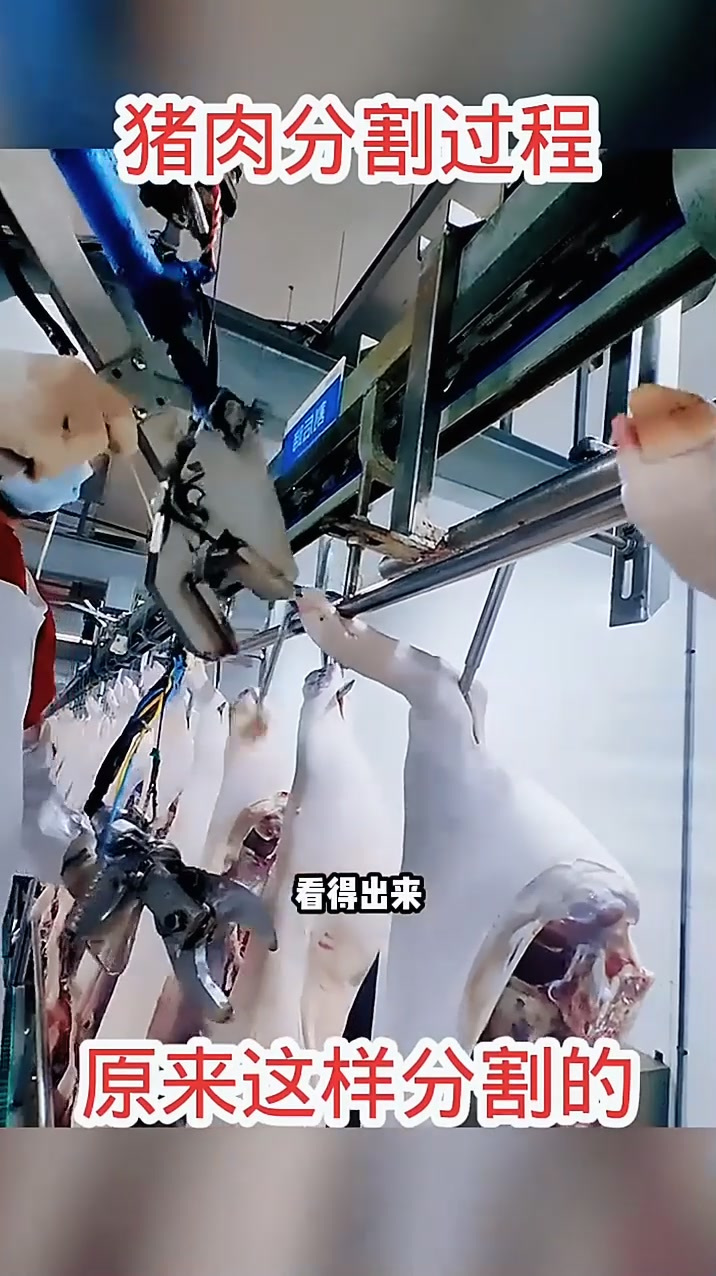 猪肉分割过程,原来这样分割的!
