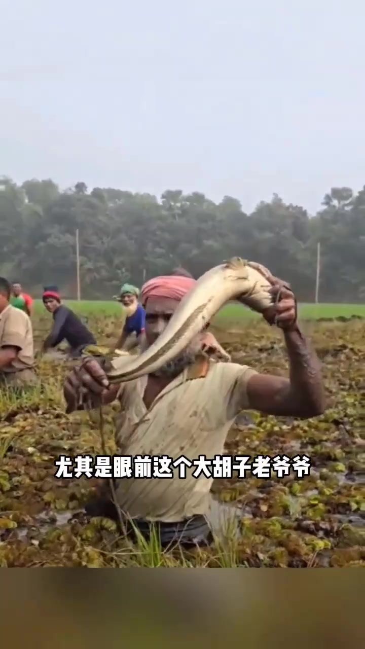 菜地里发现一条大鱼带回家,自己独自享受