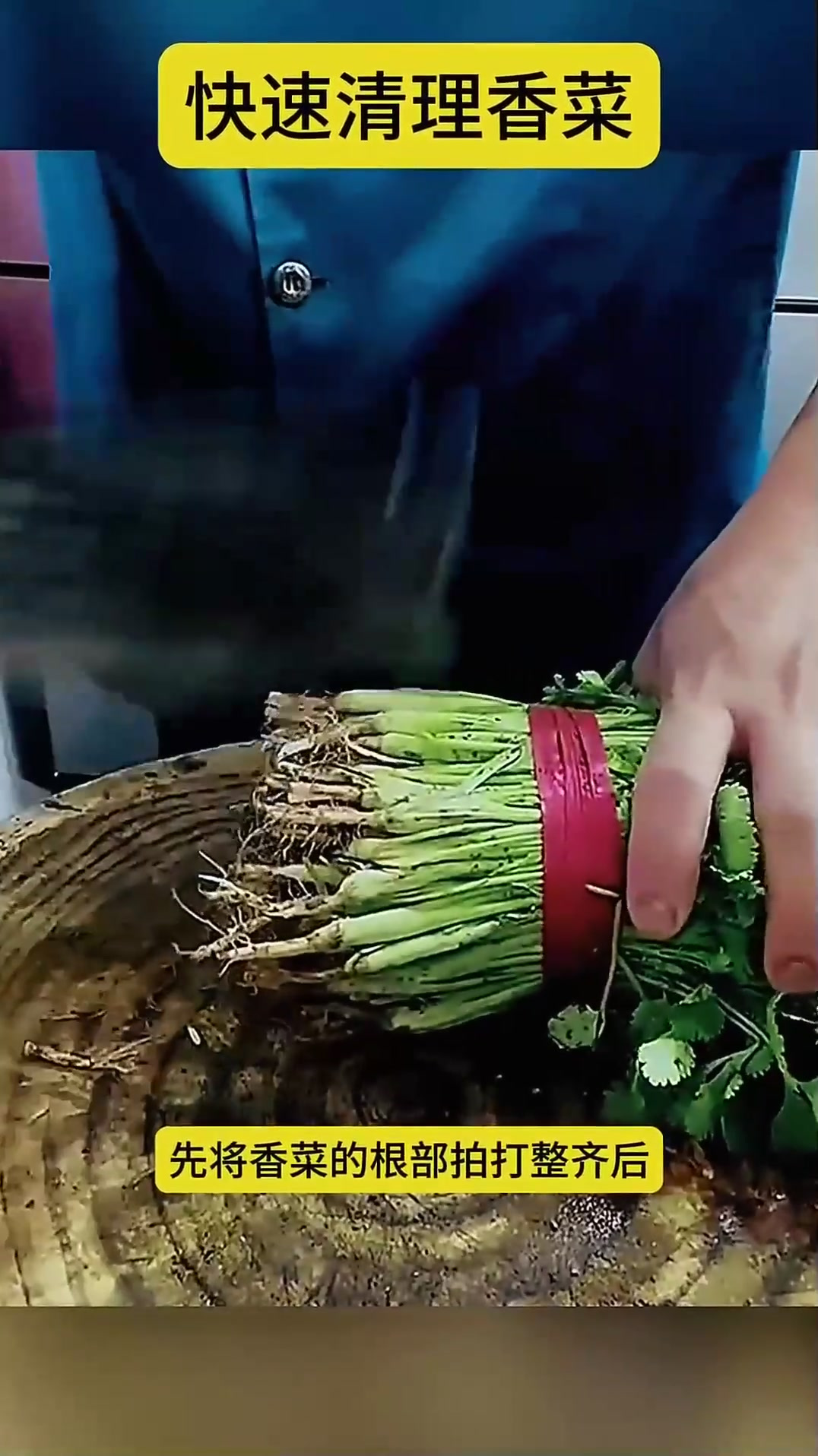 快速清理香菜,特别的轻松