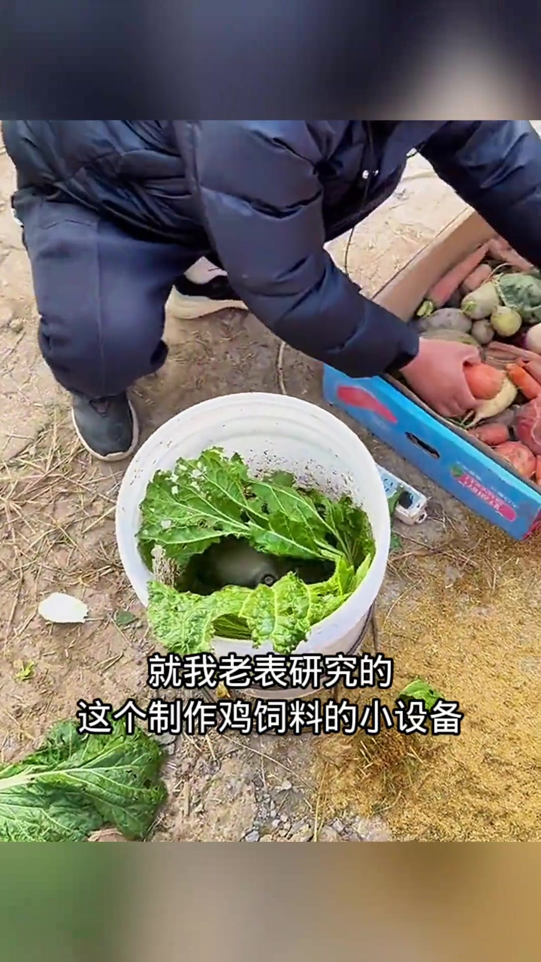 自制蔬菜粉碎机,劳动人民有智慧!