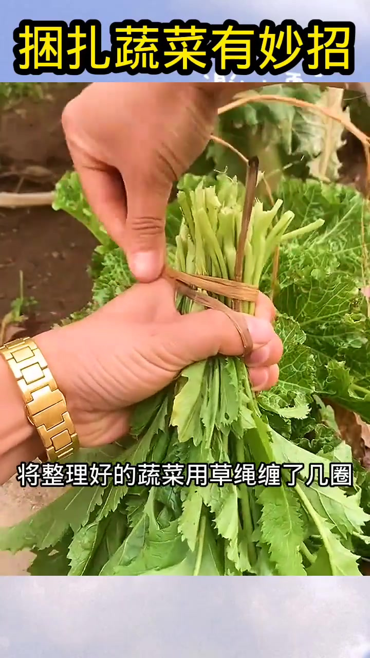 捆扎蔬菜有妙招,真是高手在民间!