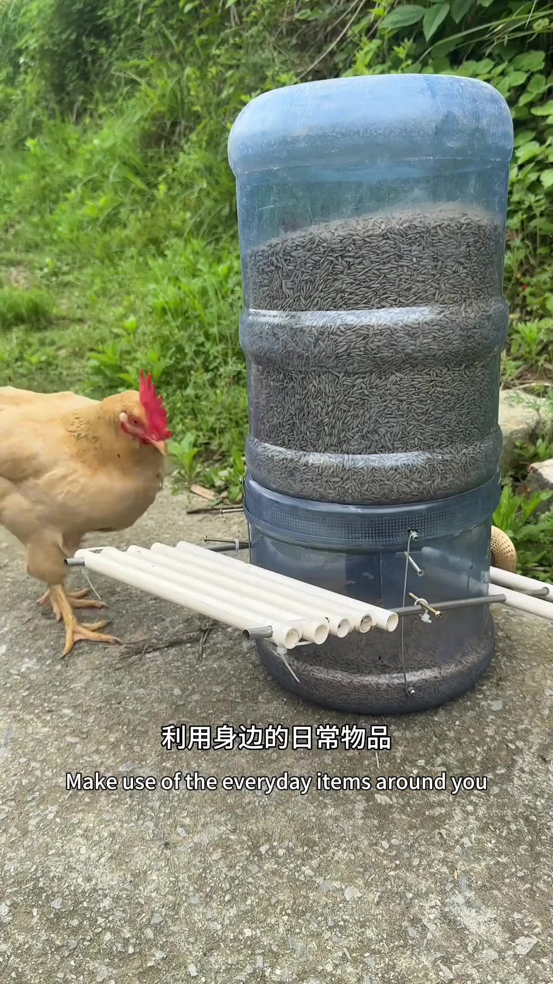 农村男子创意无限 自制喂鸡神器巧妙实用 让养鸡更轻松
