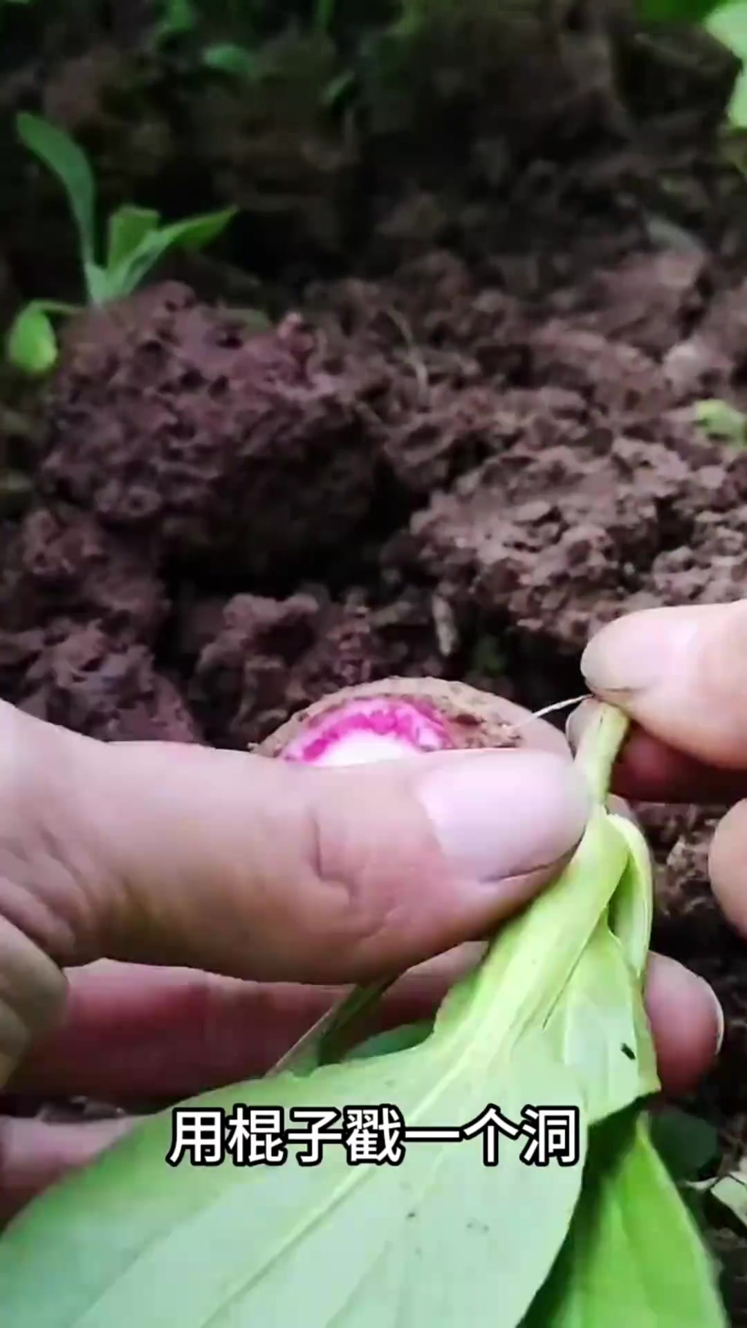 萝卜青菜,各有所爱