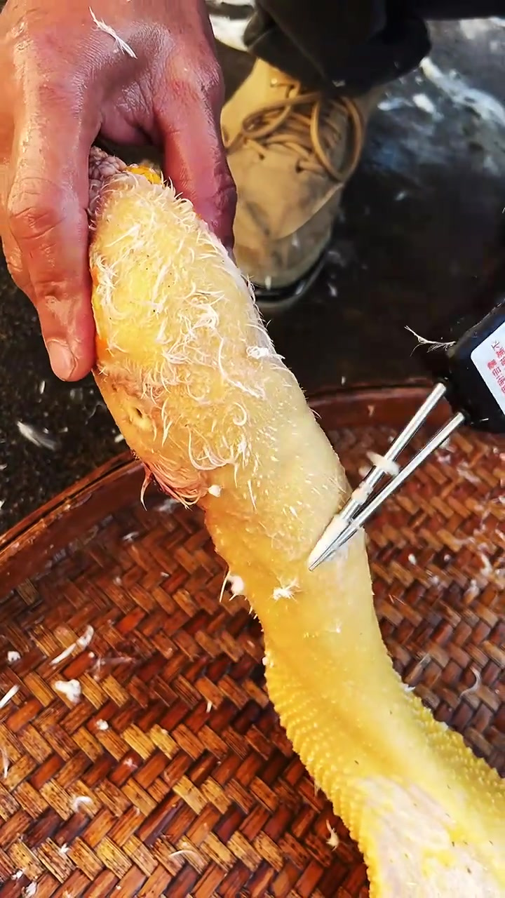 快速处理鸡鸭鹅毛的工具
