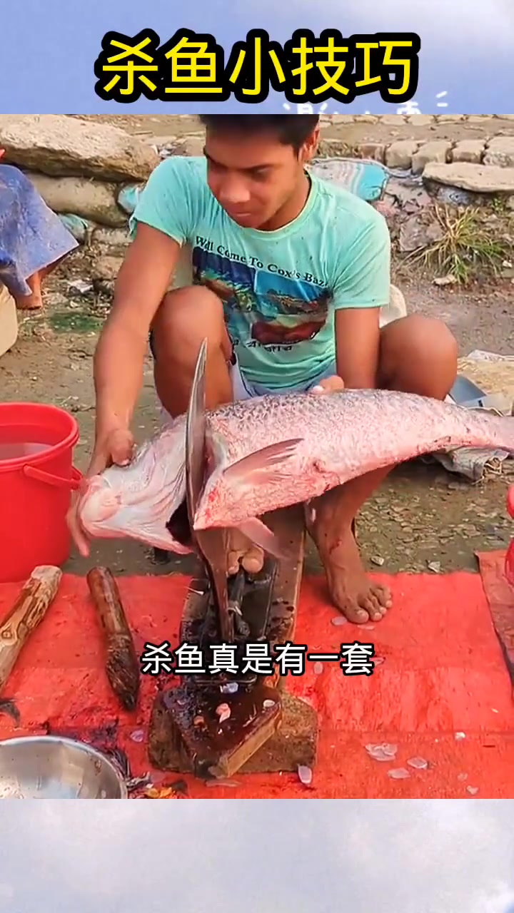 杀鱼小技巧,轻松解决!