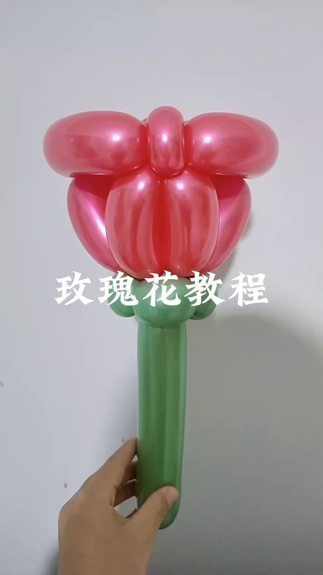 玫瑰花教程,长气球简单造型教程