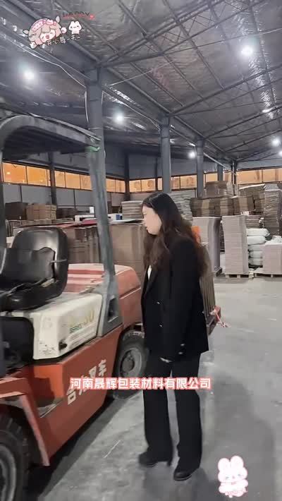 优质包装体验何处寻？晟辉以精湛工艺和卓越品质作答，价格美丽优势尽显。福建高档礼盒 海南年货