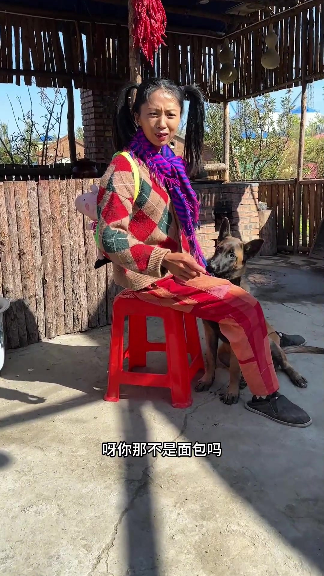 寡妇还得海涛治，今天做秋刀鱼烩茄盒