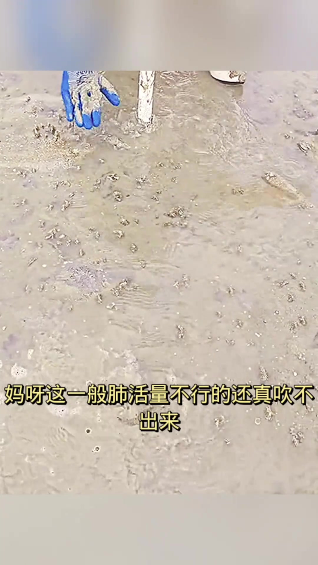皮皮虾的捕捉之道:需要配合与技巧才能成功抓到!