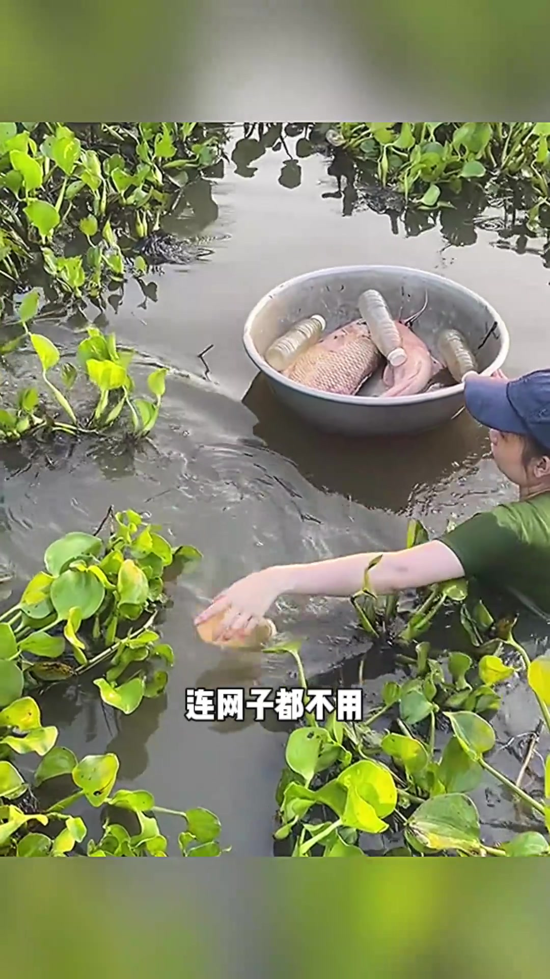 女子捞鱼实力惊人,手法娴熟捕获大鱼,炖豆腐美味佳肴可期!