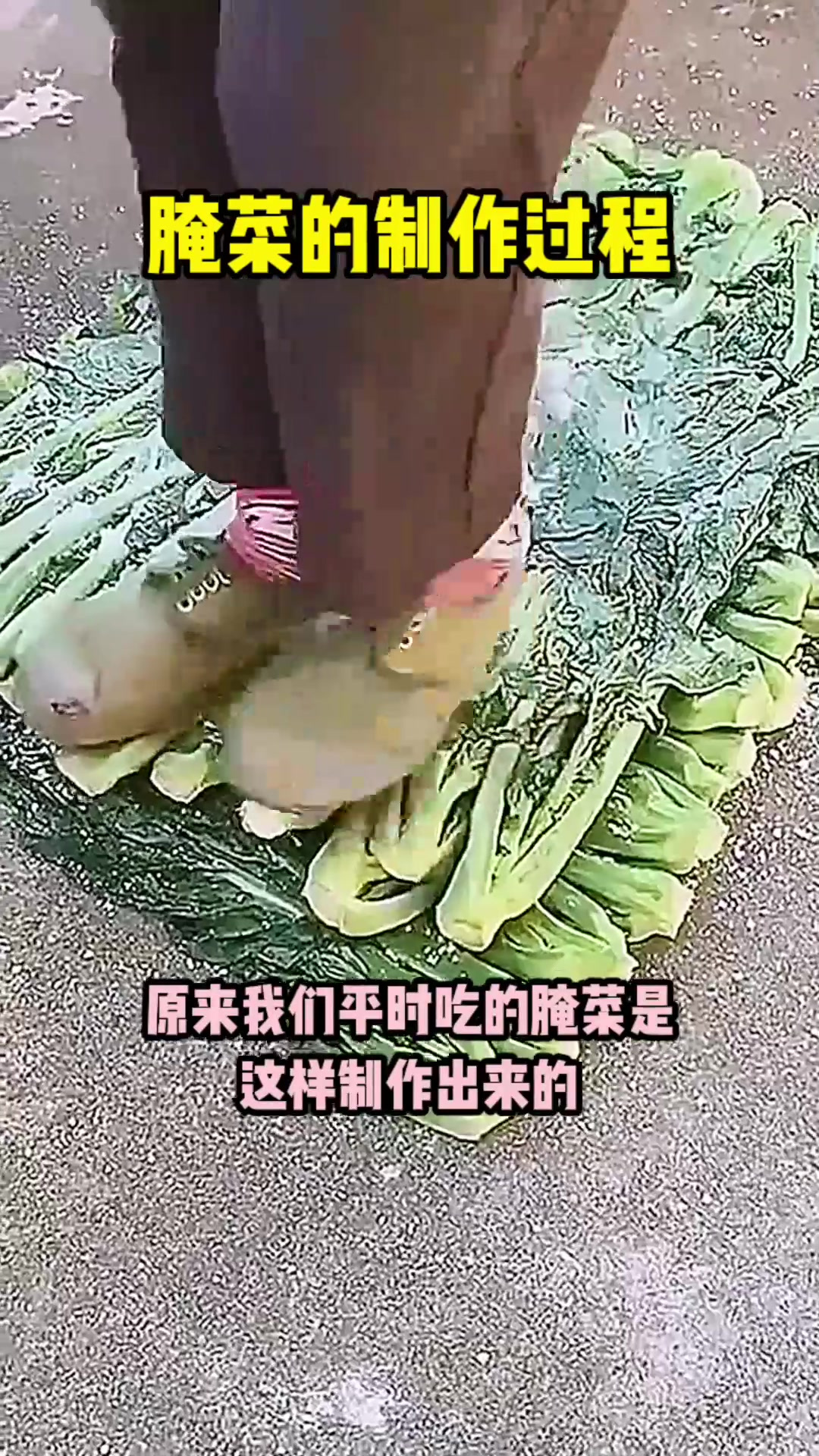 腌菜的制作过程,真是开眼了