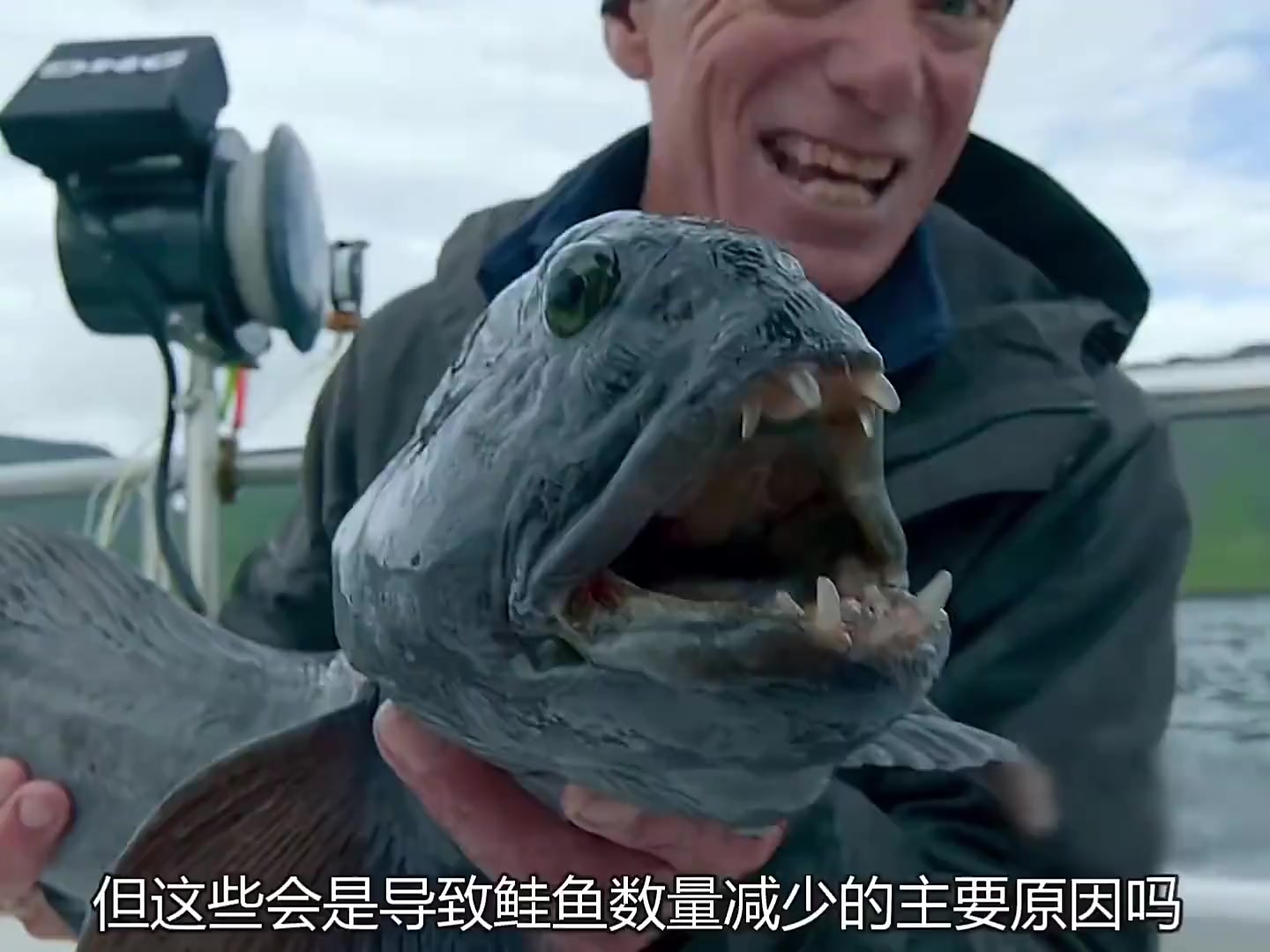 追踪深海巨型比目