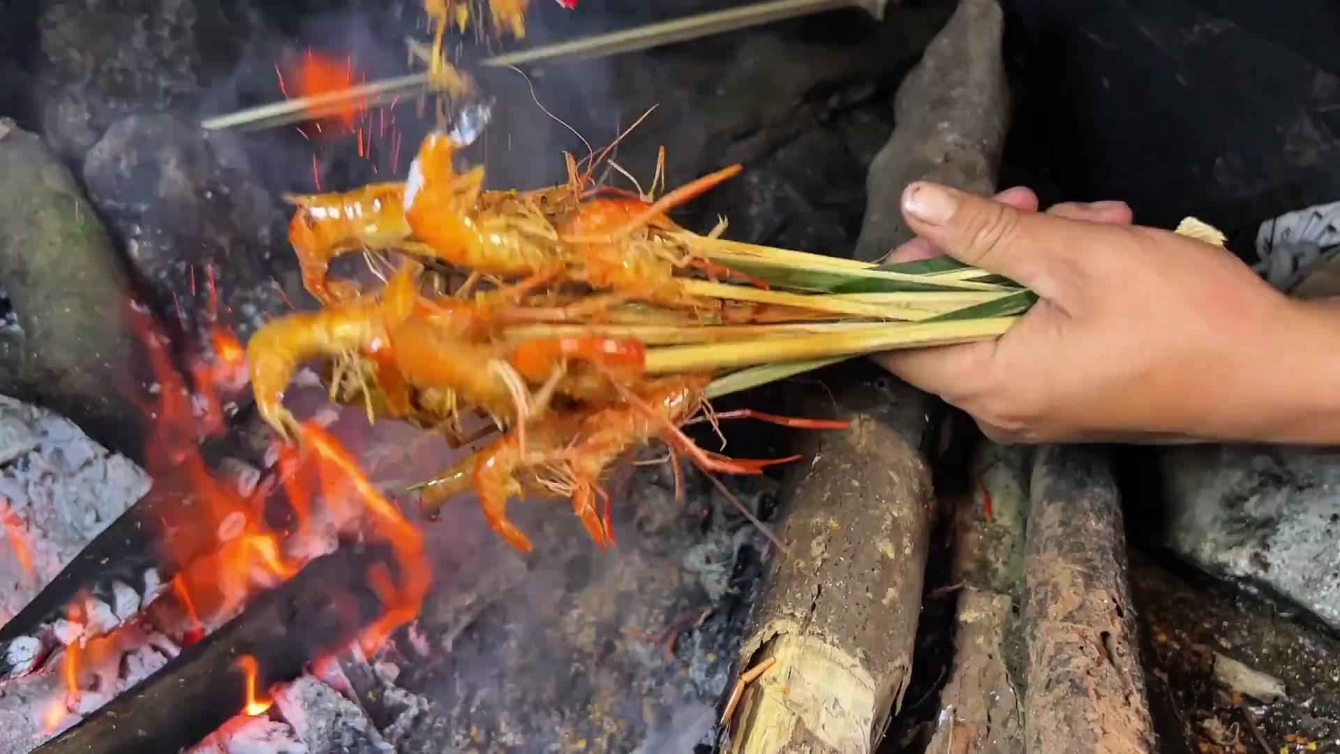 挑战荒野求生第二天,炭烤河虾 太香了!