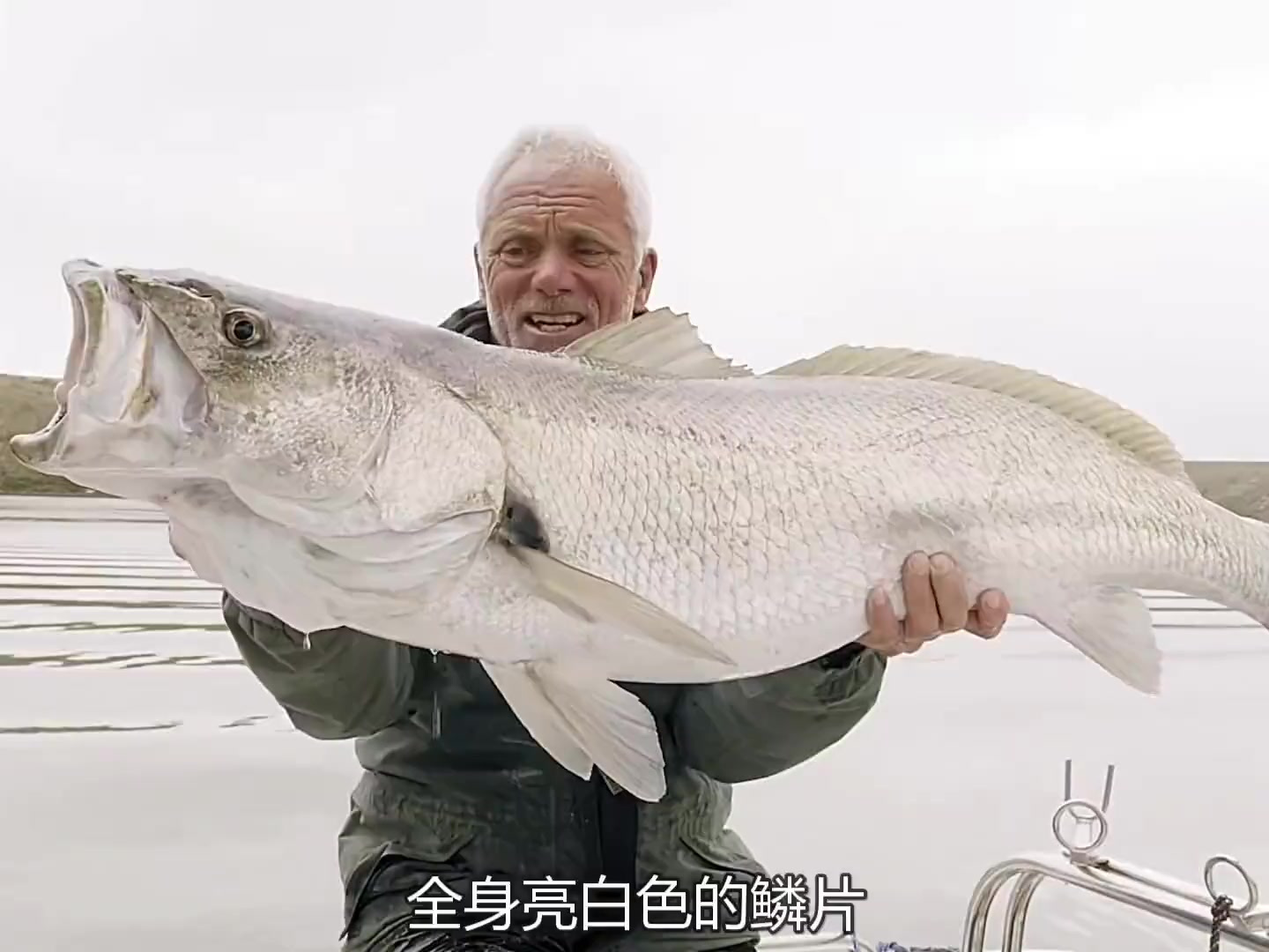 追踪半人半鱼水怪