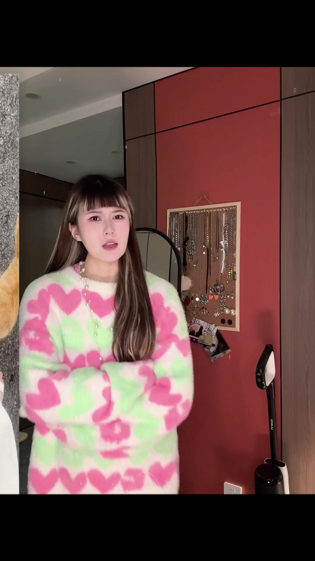 猫咪长肉秘籍！增重≠养猪！