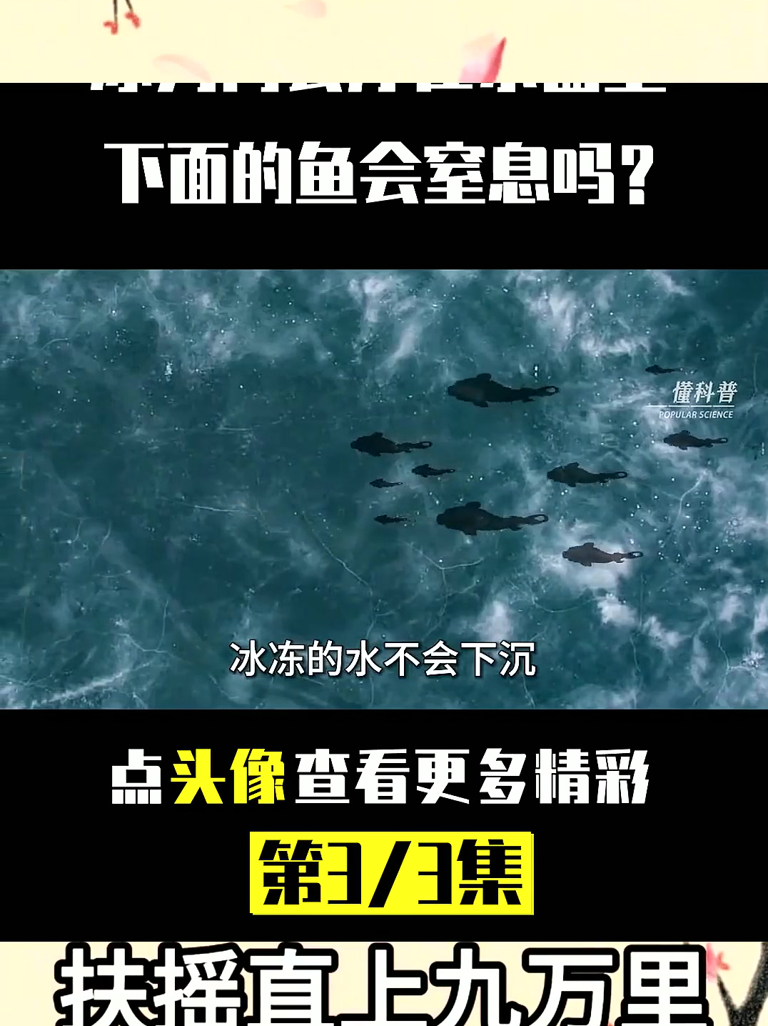 冬天河面被冰封后,鱼会缺氧或是冻死吗?