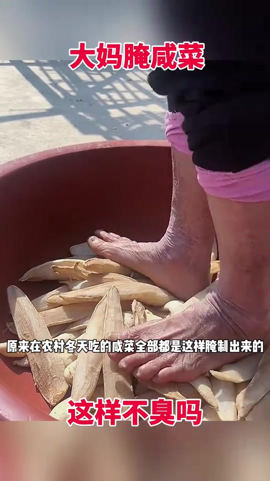 农村冬季腌制咸菜的独特方法,脚踩萝卜能否保证口感?