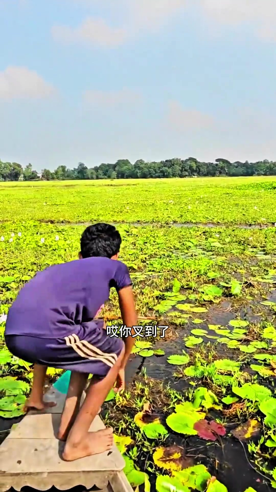 荷塘里叉鱼这小子牛得很呐