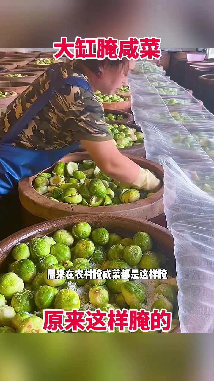 农村咸菜腌制秘诀:大缸腌制与盐的神奇搭配解析