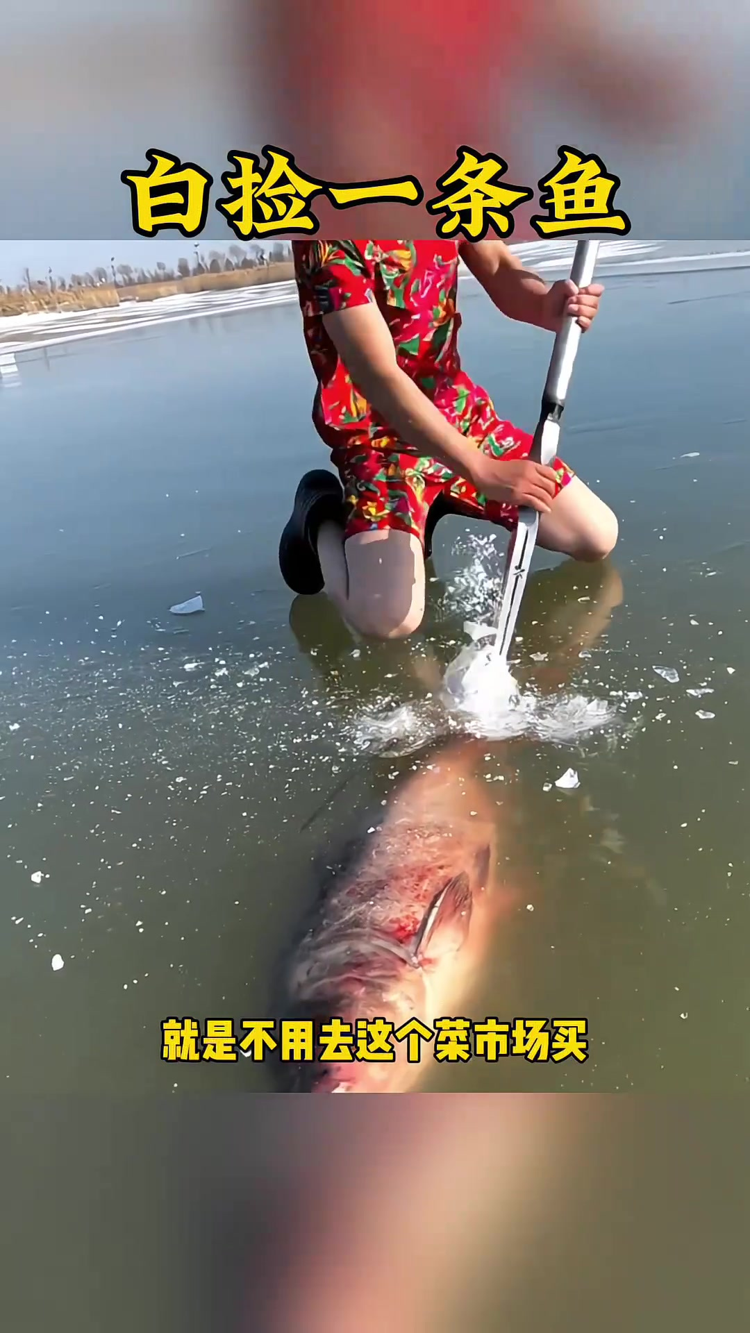 简单捕鱼新时代:河里捞大鱼与神奇大锥子