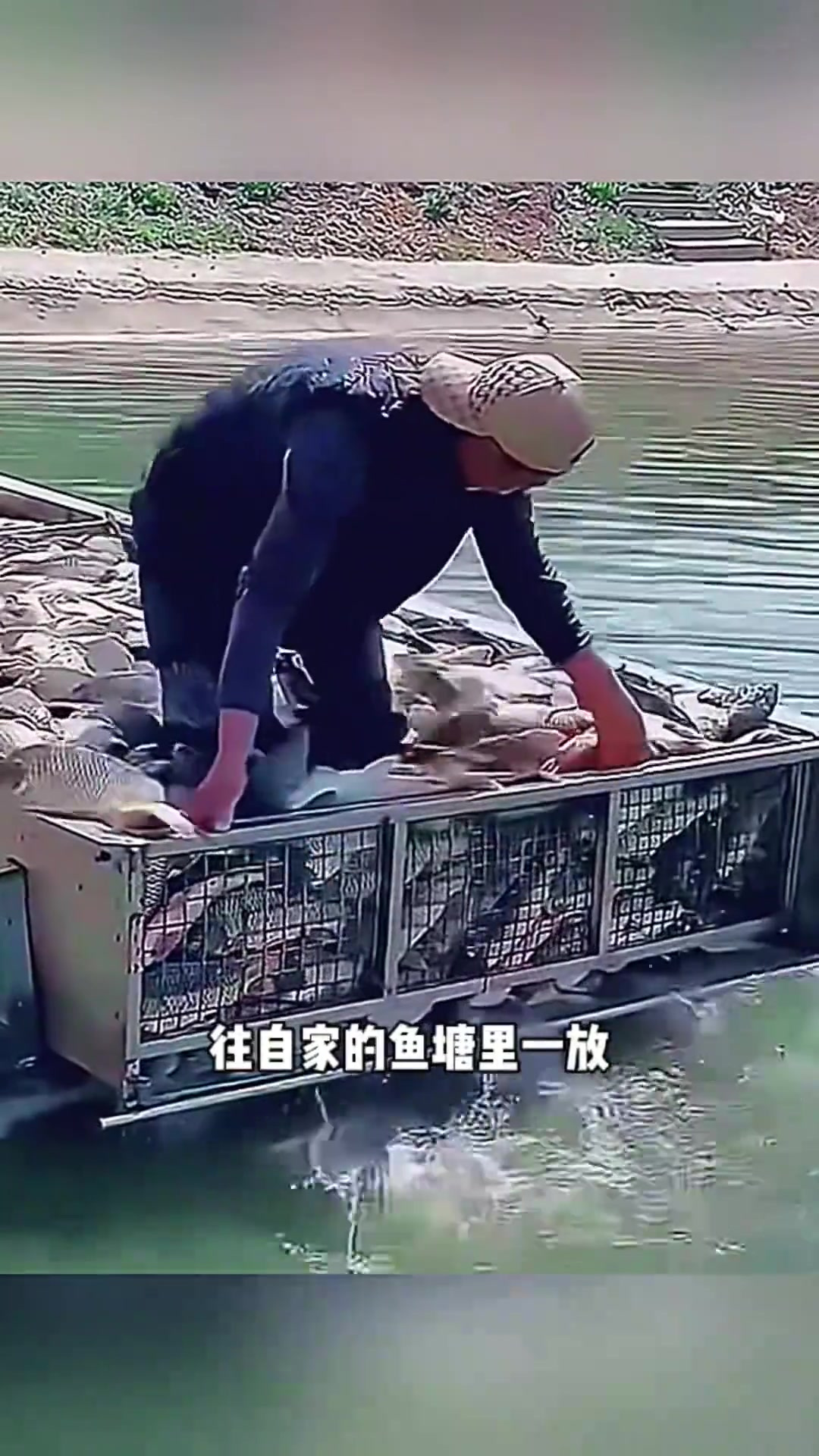 “大哥几块钱买鱼苗,数月后鱼塘利润几千元!”