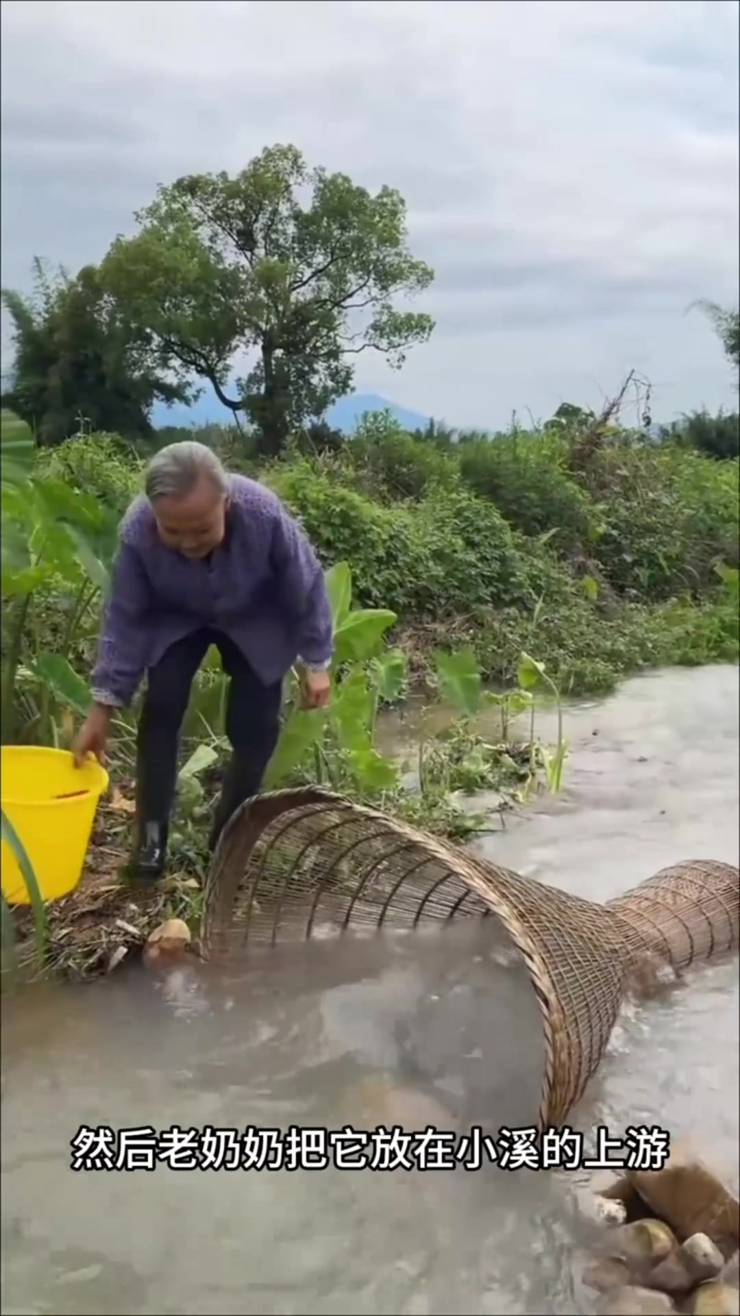原始捕鱼工具:竹制漏斗收获惊喜