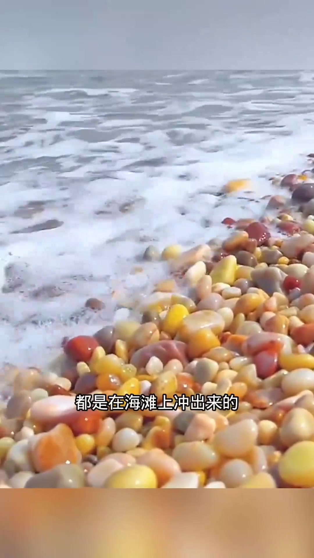 海滩上鲜艳鹅卵石 艳丽惊艳 半挂车拉走