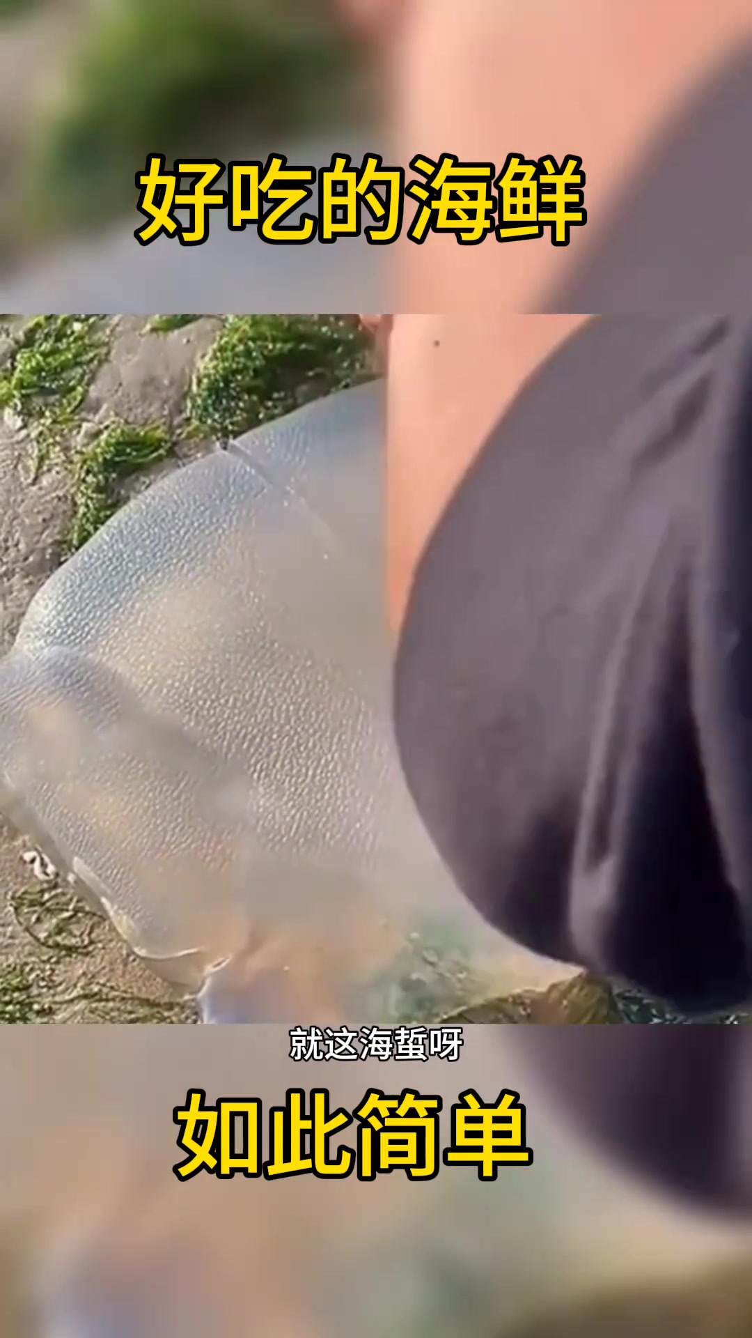 新鲜海蜇的魅力:海边自割,醋拌美味体验