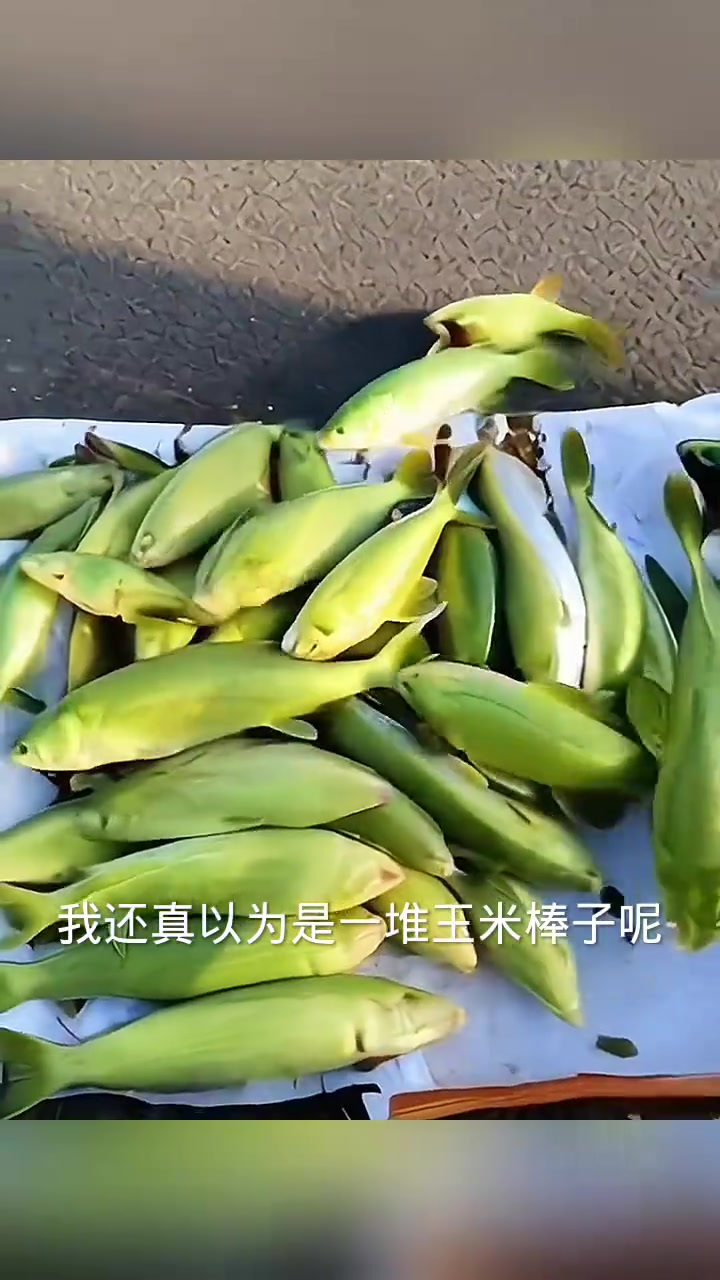 鲤鱼假面具:亲眼所见的荒诞谜团,竟让人误以为是玉米棒子