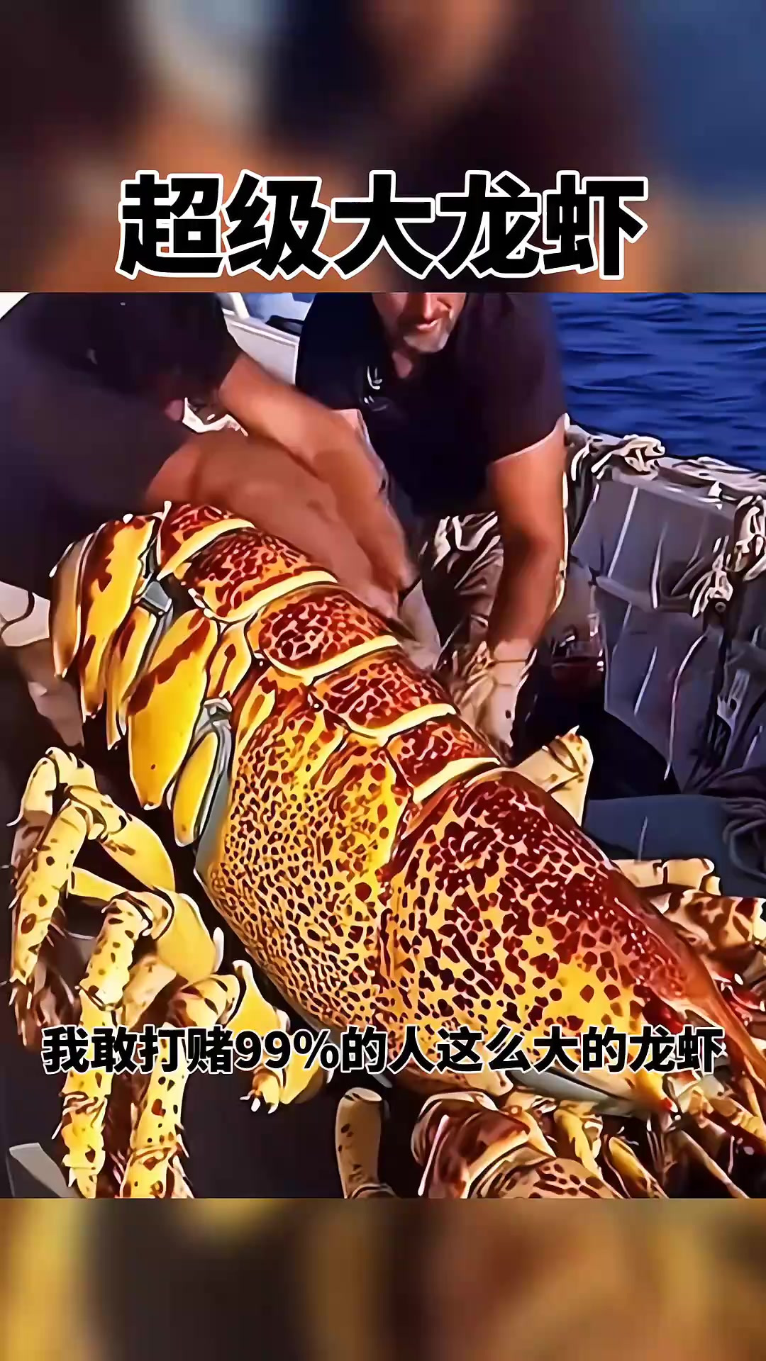 居然钓到超级大龙虾
